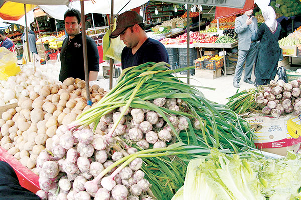 سیر همدان در سبد غذایی اروپایی‌ها و آسیایی‌ها